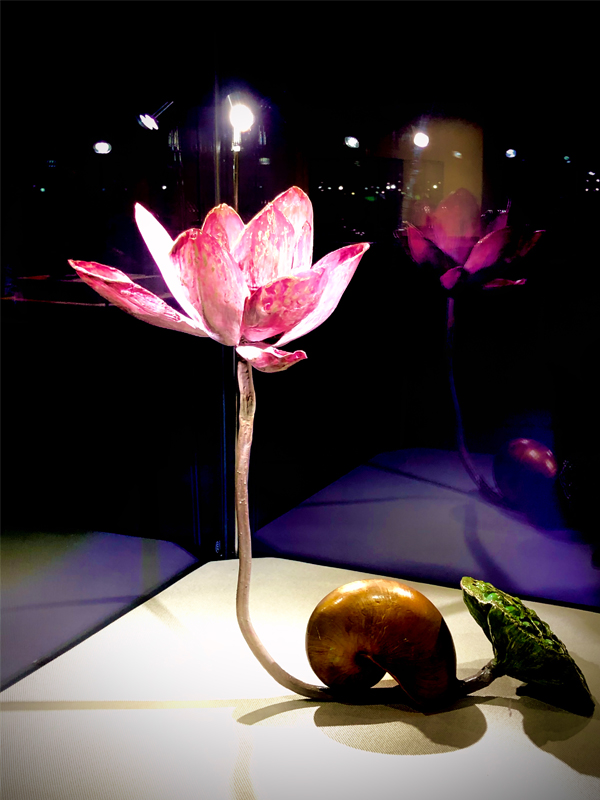 1622803873526464.jpg 1.jpg